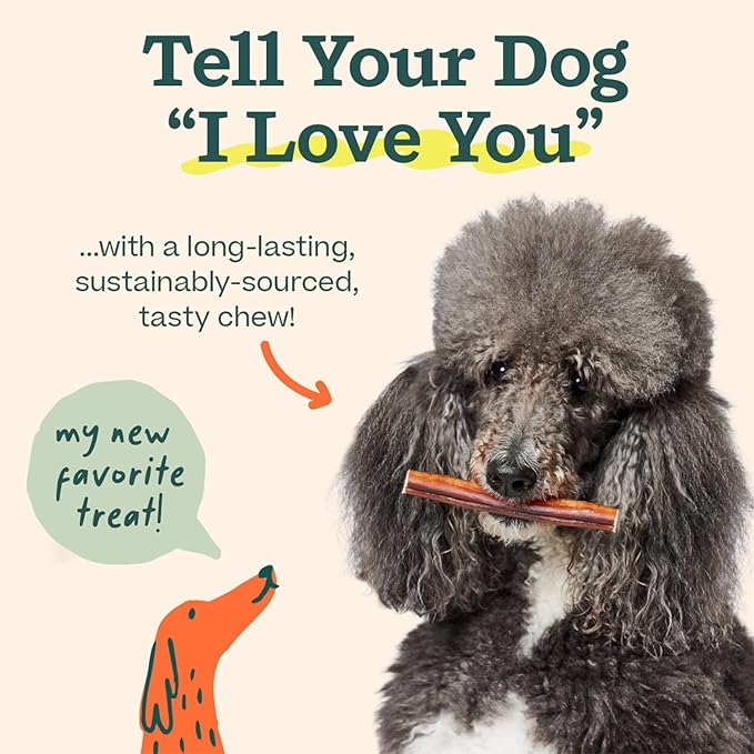 WOOF Bully Sticks Dog Treats - Chew Sticks for Dogs - Long-Lasting Dog Chew Treats - Made with Free-Range, Grass-Fed Beef - 12" Sticks - 5pk
