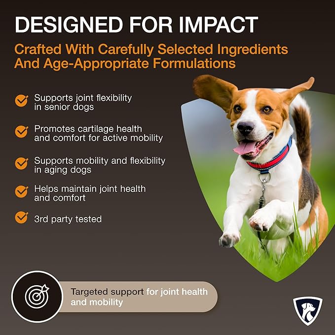 NutraRegen Select Senior Dog Joint Supplement 45 Scoops | Natural Glucosamine Chondroitin for Dogs with Collagen | Hip and Joint Powder | 7.7 Oz