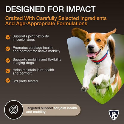 NutraRegen Select Senior Dog Joint Supplement 45 Scoops | Natural Glucosamine Chondroitin for Dogs with Collagen | Hip and Joint Powder | 7.7 Oz