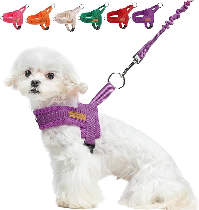 BEAUTYZOO Dog Harness for Small Dogs, No Pull Dog Harness and Leash Set, Soft Escape Proof Puppy Vest Harness with Handle, Reflective Lightweight Step in Harness for Girl Boy Dogs, Purple S
