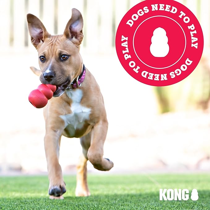 KONG Extreme Dog Toy - Fetch & Chew Toy - Treat-Filling Capabilities & Erratic Bounce for Extended Play Time Most Durable Natural Rubber Material - for Power Chewers - for Large Dogs (Pack of 2)