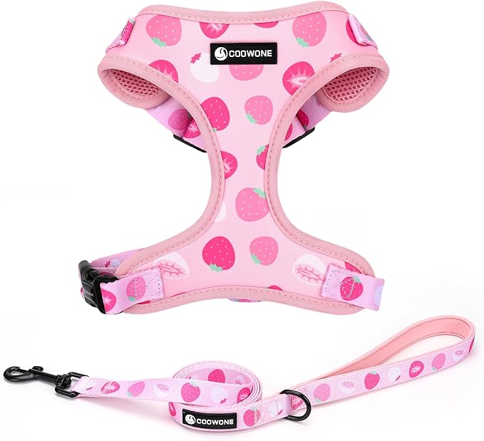 Dog Harness and Leash Set, Adjustable Dog Harness, Dog Leash, No Pull No Choke Puppy Harnesses for Walking Training for Small Medium Pet (Strawberries, S(Chest 13-19", Neck 9.5-13.1"))