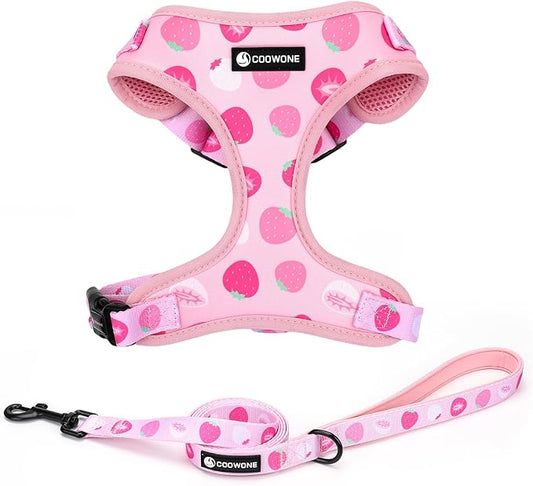 Dog Harness and Leash Set, Adjustable Dog Harness, Dog Leash, No Pull No Choke Puppy Harnesses for Walking Training for Small Medium Pet (Strawberries, S(Chest 13-19", Neck 9.5-13.1"))