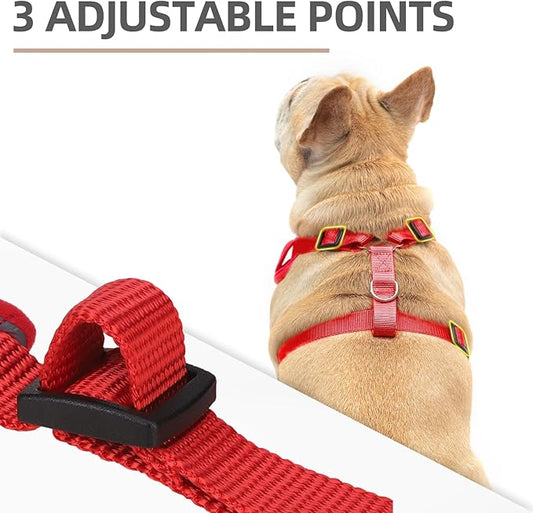 PUPTECK Christmas Small Dog Harness and Leash Set, No Pull Adjustable Puppy Cat Harness, Reflective Soft Mesh Pet Vest Small Sized, Checkered, M