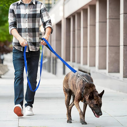 6 FT Dog Leash with 2 Padded Handle Nylon Reflective Dogs Leashes for Small Medium Large Dogs Blue
