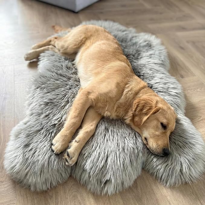 IHAPPYDOG Luxury Faux Fur Orthopedic Dog Bed, Memory Foam Dog Bed for Small, Medium, Large and XL Pets, Fluffy Pet Bed with Waterproof and Washable Cover (Grey, 40"x25")