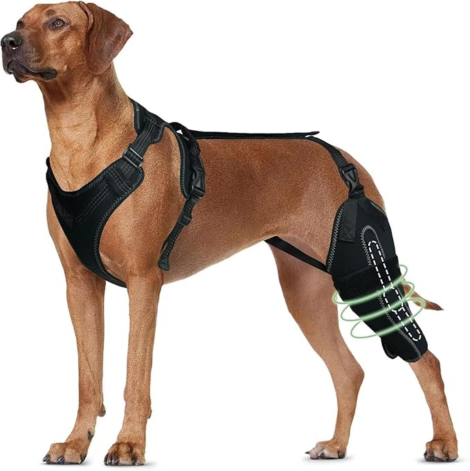 Dog Knee Brace for ACL/CCL Injuries,Torn Ligament,Luxating Patella - Rear Leg Support,Pain Relief,Joint Warmth,Left Legs,Black,Size:XL