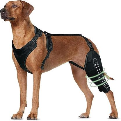 Dog Knee Brace for ACL/CCL Injuries,Torn Ligament,Luxating Patella - Rear Leg Support,Pain Relief,Joint Warmth,Left Legs,Black,Size:XL