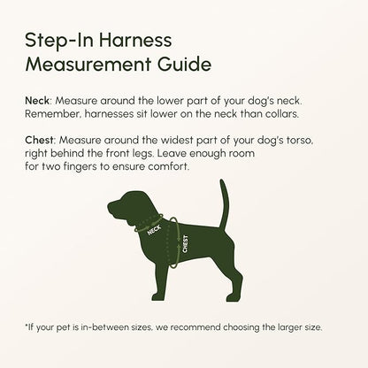 Downtown Pet Supply Step in Dog Harness for Medium Dogs - Adjustable, Escape Proof Dog Harness with Reflective Trim - All-Weather, Fast-Drying Padded Mesh Fabric - Lilac, M