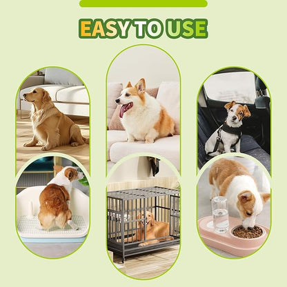 IMMCUTE Thick Puppy Pads 100 Count, Super Absorbent Potty Training Pads, Disposable Pee Pads for Dogs, Cats & Rabbits, Blue & White, 22"x23"
