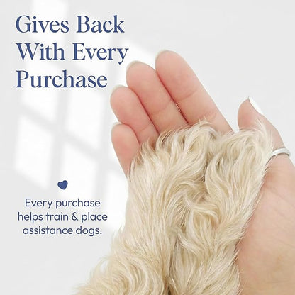 Posie Pets Dog Cologne Spray with Long Lasting Jasmine, Musk, and Vanilla Scent - Vegan Alcohol-Free Pet Deodorizer for Smelly Dogs - Water-Based Luxury Puppy Grooming Fragrance - Sweet Snooze, 100ml