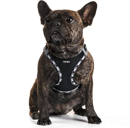 AMTOR Dog Harness with Leash Set,No Pull Adjustable Reflective Step-in Puppy Harness with Padded Vest for Extra-Small/Small Medium Large Dogs and Cats(XXXS, Blackwhite)