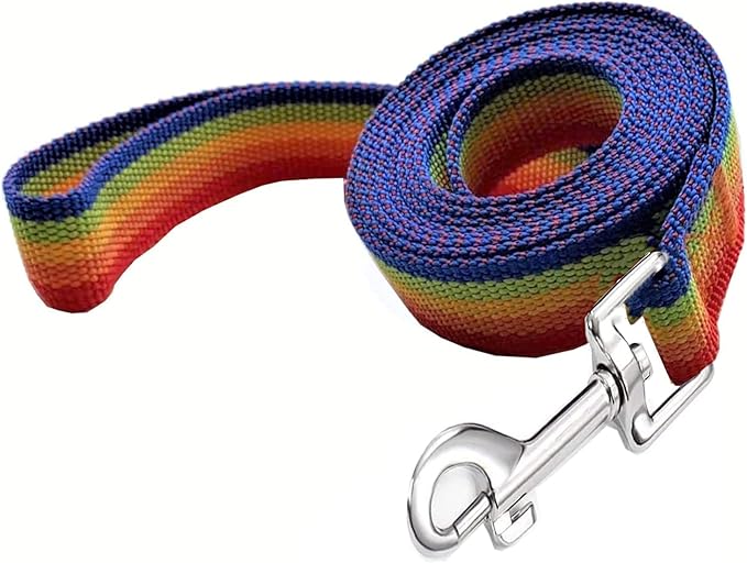 TAIAN 4FT/5FT/6FT Strong Dog Leash, Nylon Dog Leashes for Small Medium Large Dogs (Rainbow, 1 in x 15 ft)