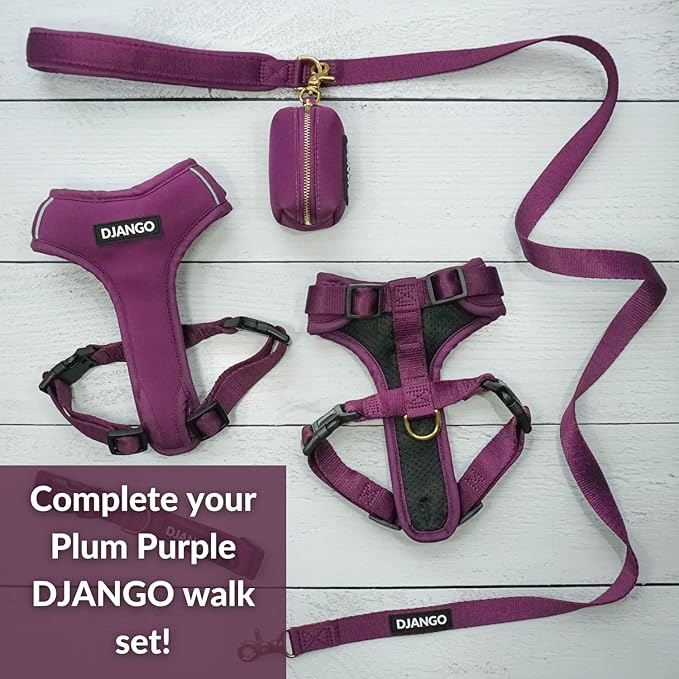 DJANGO Adventure Dog Leash – Strong, Comfortable, and Stylish Dog Leash with Solid Brass Hardware and Padded Handle - Designed for Outdoor Adventures and Everyday Use (Plum Purple)