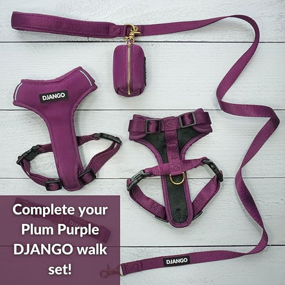 DJANGO Adventure Dog Leash – Strong, Comfortable, and Stylish Dog Leash with Solid Brass Hardware and Padded Handle - Designed for Outdoor Adventures and Everyday Use (Plum Purple)