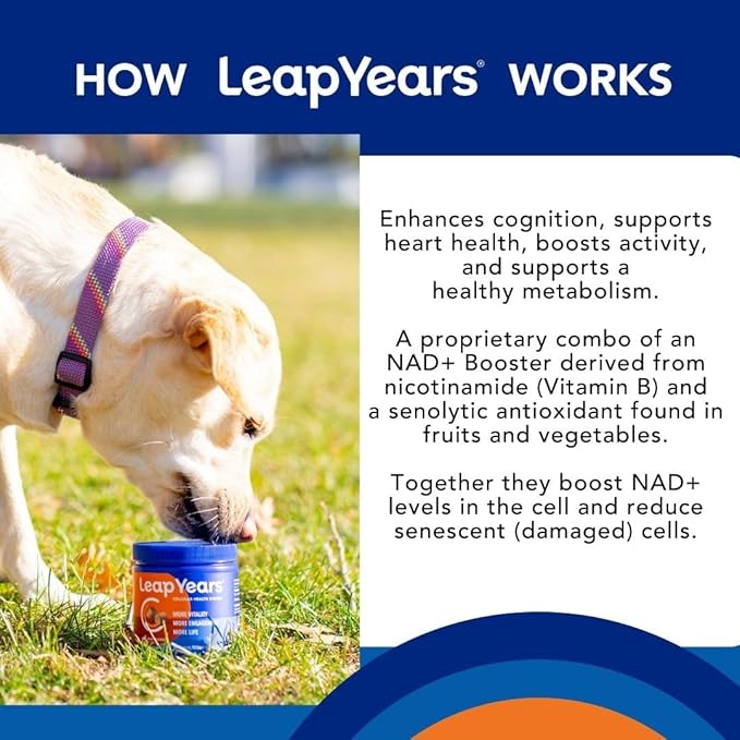 Leap Years Soft Chew Dog Supplement – Supports Healthy Aging, Cognition & Vitality; Veterinarian-Formulated for Brain, Heart & Muscle Health; Powerful NAD Booster & Senolytic Formula, XL Breed