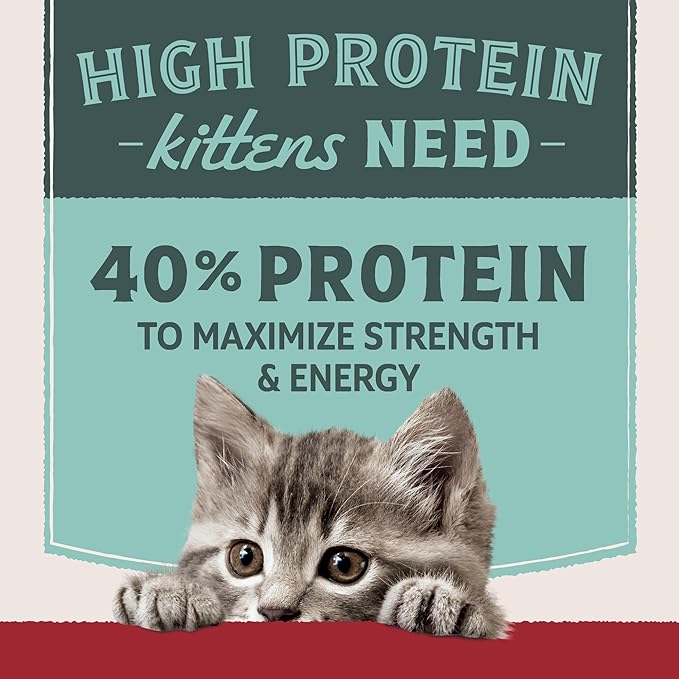 Natural Balance Ultra Protein Kitten Dry Cat Food, Real Chicken & Chicken Meal Recipe with Protein-Rich Organs - 6 lbs.