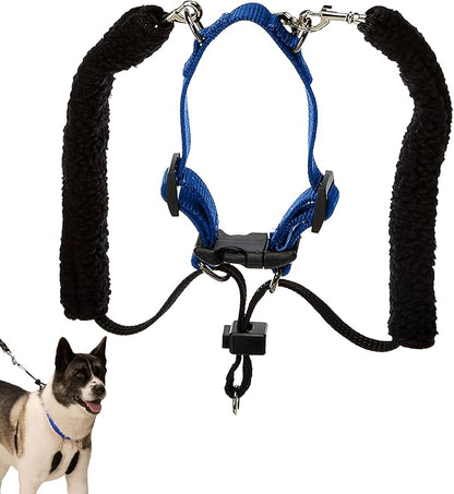 No Pull Dog Harness Medium Size Dog with Blue Padded Sherpa Sleeves, Breathable Training Halter, Provides to All Medium Sized Breeds by Sporn