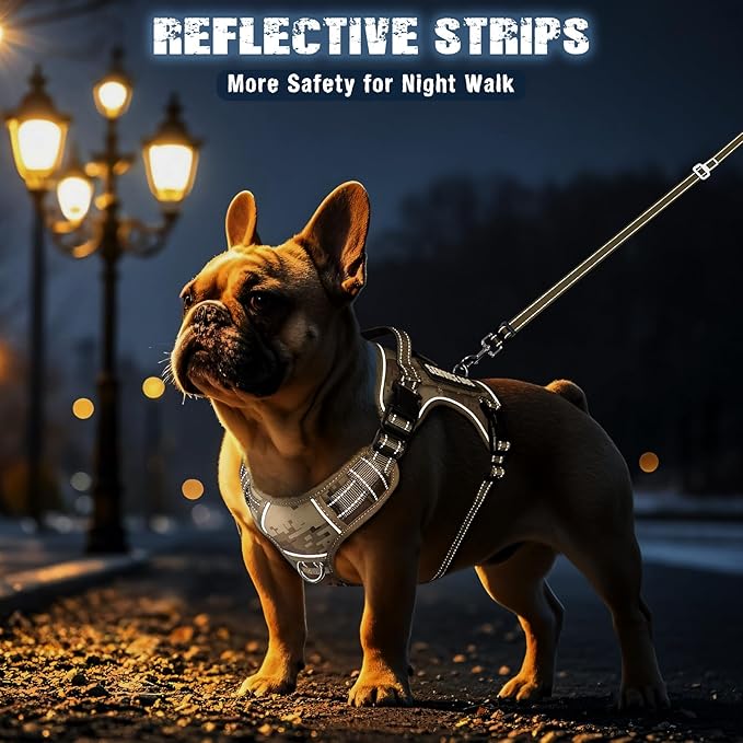 MOOGROU Tactical Dog Harness and Leash Set Small Sized Dog,Heavy Duty No Pull Service Dog Vest and 10 Patches with Dog Seat Belt,Reflective Adjustable Pet Harness for Training Walking Hiking Camo S