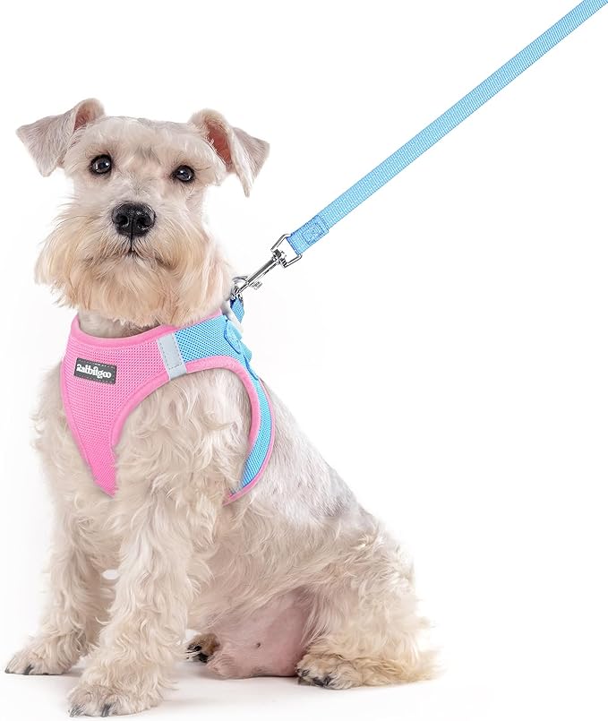 rabbitgoo Dog Harness Medium Sized and Leash Set, Step in Soft Light Puppy Vest, Breathable Mesh Pet Harness, Reflective for Safe Easy Walking, Blue & Light Pink XXL
