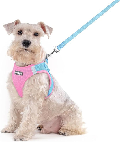 rabbitgoo Dog Harness Medium Sized and Leash Set, Step in Soft Light Puppy Vest, Breathable Mesh Pet Harness, Reflective for Safe Easy Walking, Blue & Light Pink XXL