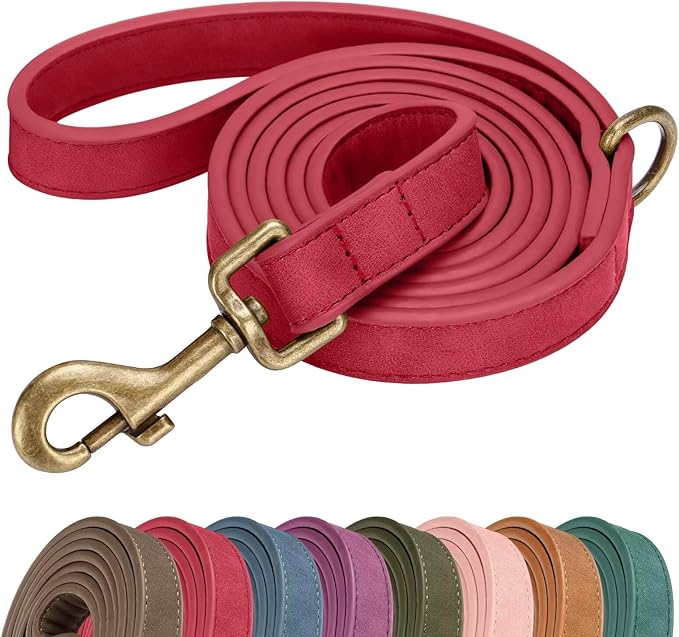 Didog Stylish PU Leather Dog Leash for Small Dogs, Easy to Clean 5ft Small Dog Leash with Metal Tangle-Free Clip, Fashionable and Elegant for Walking, Running and Training,Red, S