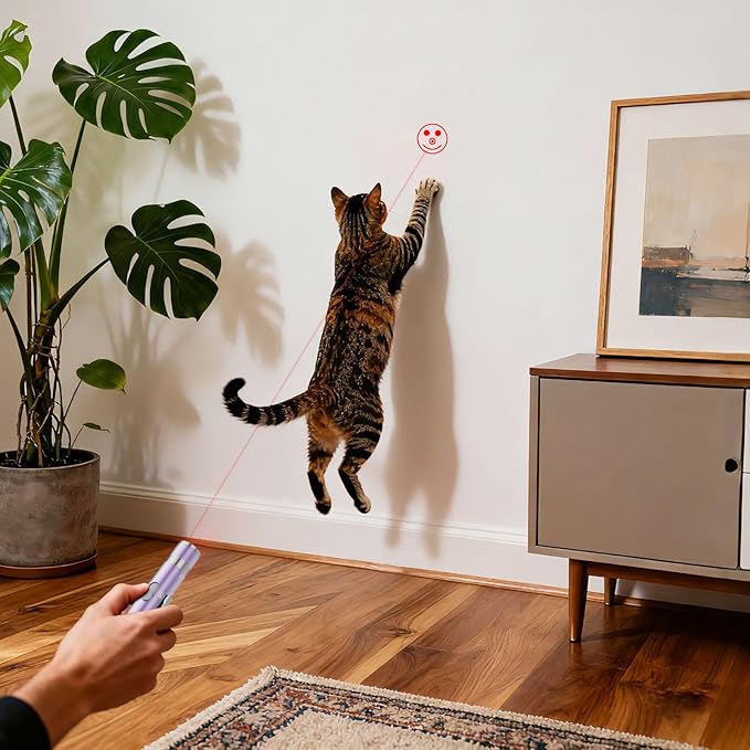 Cat Toy, 2 Pieces, Distinctive Purple Painted Metal Casing with Paw Print Design, Rechargeable, 3 Light Modes & 5 Adjustable Patterns, Interactive Chase Toy for Indoor Cats Training & Exercise
