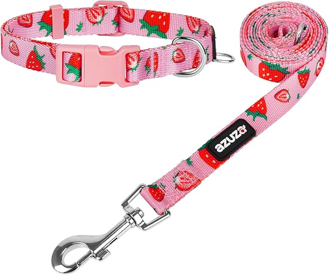 azuza Dog Collar and Leash Set, Cute Strawberry Patterns on Pink Nylon Collar and Matching Leash, Great Option for Extra Small Dogs