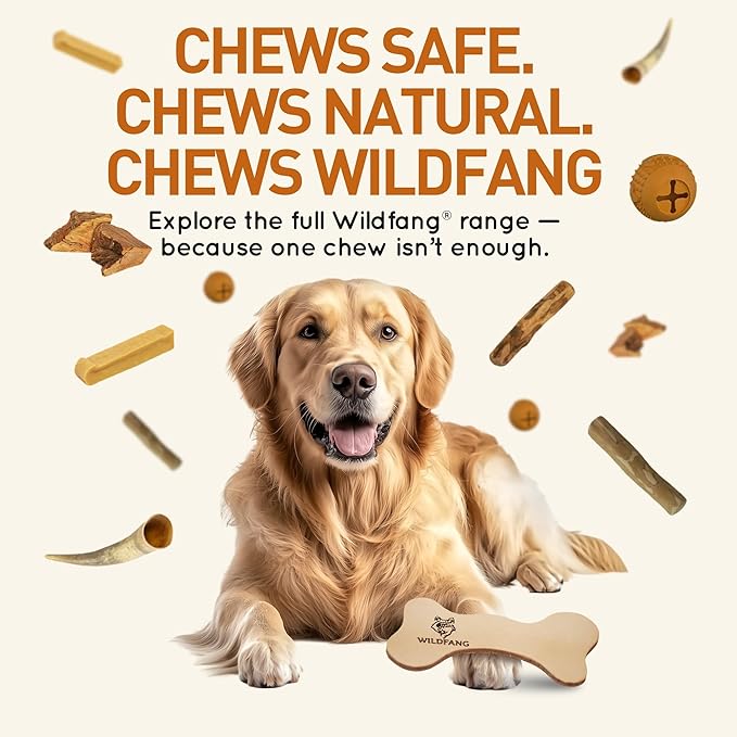 Wildfang® Leather Dog Toy, Large – Soft Dog Chew Toys for Gentle Chewers, Puppies, Senior or Older Dogs with Sensitive Teeth – Non-Toxic, Stuffless, 5mm Leather Bone for Dogs Over 33 lbs, Pack of 1