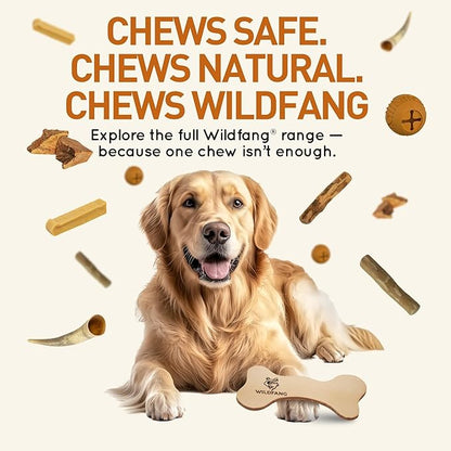 Wildfang® Leather Dog Toy, Large – Soft Dog Chew Toys for Gentle Chewers, Puppies, Senior or Older Dogs with Sensitive Teeth – Non-Toxic, Stuffless, 5mm Leather Bone for Dogs Over 33 lbs, Pack of 1