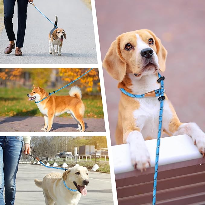 lynxking Slip Lead Dog Leash Reflective, Heavy Duty Comfortable Strong Rope Leash for Large Medium Small Dogs No Pull Training (Light Blue, Large 1/2in x 6ft-Slip Lead)