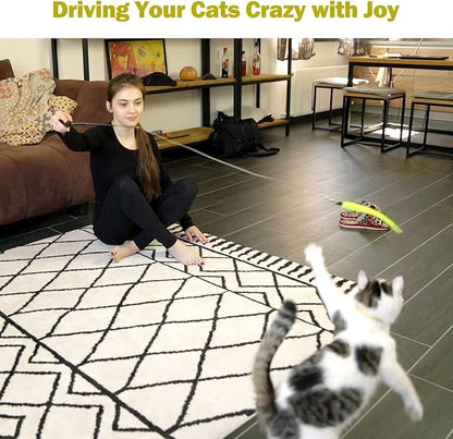 MeoHui Cat Toys for Indoor Cats, Interactive Cat Toy 2PCS Retractable Wand Toy and 9PCS Cat Feather Toys Refills, Funny Kitten Toys Cat Fishing Pole Toy for Bored Indoor Cats Chase and Exercise
