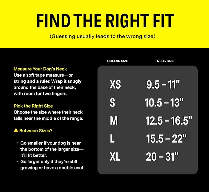 Fi Series 3 Smart Dog Collar - GPS Dog Tracker and Activity & Fitness Monitor, Waterproof, LED Light, Escape Alerts, Nationwide Coverage [Free 1 Year Membership] (Gray, Large)
