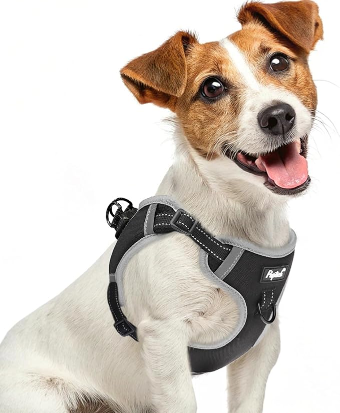 PUPTECK No Pull Dog Harness Small Sized Dog, Adjustable Reflective Escape Proof Easy Control, Comfortable Soft Padded Step in Pet Vest Harness, Black, S
