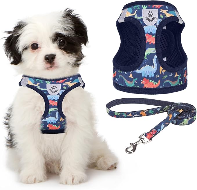 KOOLTAIL Dog Harness and Leash Set for Small Medium Dogs, Step in No Pull Soft Mesh Dog Harness Comfort Padded Pet Vest, Adjustable Reflective Easy Walking Puppy Cats Harnesses Training, Dinosaur M