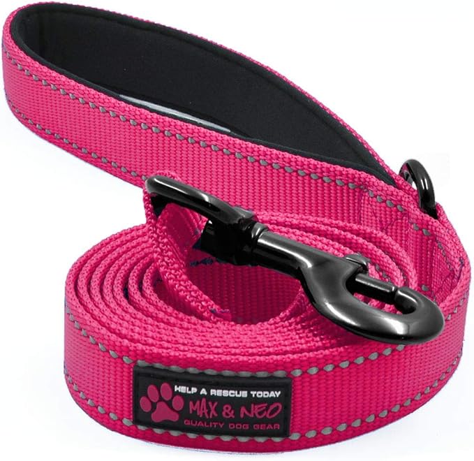 Max and Neo Reflective Nylon Dog Leash - Donate a Leash with Every Purchase (Pink, 4ft)