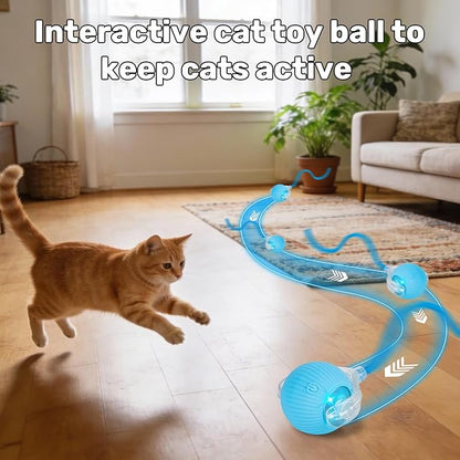 JINDILONG Cat Toy, Electric Interactive Toys for Indoor Cats, Blue