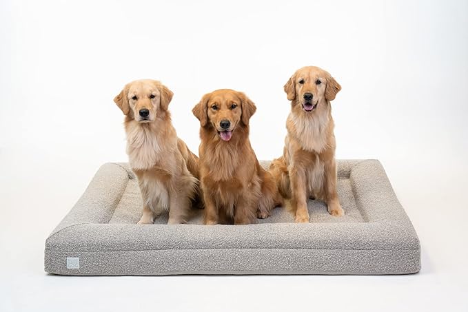 Bluewater Dog Luxury Boucle Orthopedic Memory Foam Dog Bed with Waterproof Liner and Machine Washable Cover with YKK Zippers (X-Large, 61" L x 44" W x 7" Th, Sand)