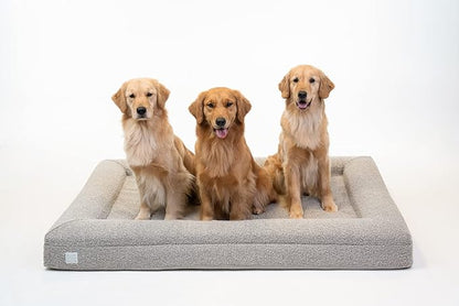 Bluewater Dog Luxury Boucle Orthopedic Memory Foam Dog Bed with Waterproof Liner and Machine Washable Cover with YKK Zippers (X-Large, 61" L x 44" W x 7" Th, Sand)