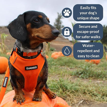 DJANGO Adventure Dog Harness - Stylish, & Durable Small Dog Harness for Outdoor Adventures and Everyday Wear - Sunset Orange Neoprene Adjustable Harness for Dogs with Reflective Piping & Brass D-Ring