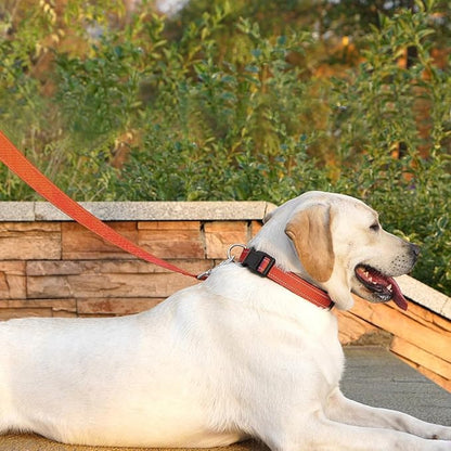 Reflective Dog Leash 6 FT Padded Handle Nylon Dogs Leashes for Small Dogs Orange