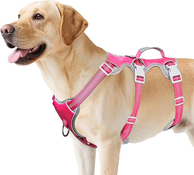 Huntboo Escape Proof Harness, No Slip Dog Harness Escape Proof, Reflective Harness with Handle, Breathable, Durable, Adjustable Vest for Large Dogs Walking, Training, and Running Gear (Rose red, L)