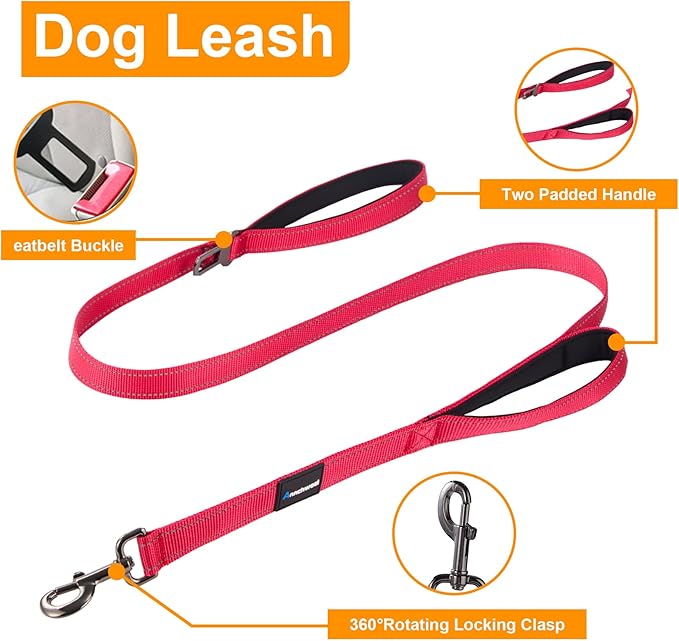 Annchwool Adjustable Dog Collar and 5 FT Leash Set with Heavy Duty Metal Buckle–Comfortable Lining Reflective Collar & Dual-Handles for Small Medium Large Dogs Walking,Running(Red Set,XL:22''-30'')