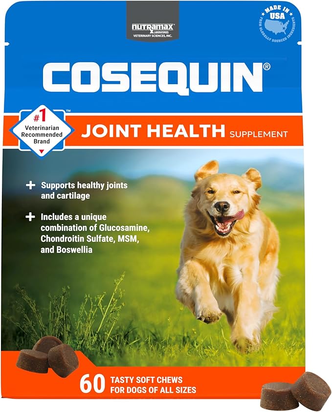 Nutramax Laboratories Cosequin DS Plus MSM Professional Line for Dogs, 60 Soft Chews