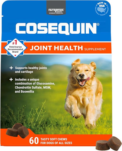 Nutramax Laboratories Cosequin DS Plus MSM Professional Line for Dogs, 60 Soft Chews