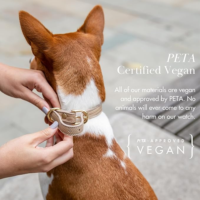 NINA WOOF Milan Vegan Leather Dog Collar - Padded Luxury Collar with Adjustable Buckle - Small to Large Dogs - Beige