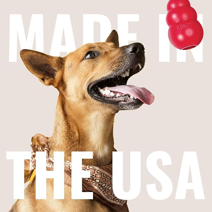 KONG Classic Stuffable Dog Toy - Fetch & Chew Toy for Dogs - Treat-Filling Capabilities & Erratic Bounce for Extended Play Time - Durable Natural Rubber Material - for Small Dogs (Pack of 2)