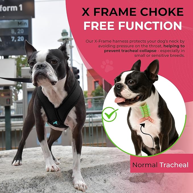 Gooby Black X-Large Polyester Comfort X Harness for Small Dogs, No Pull, Choke-Free, Lightweight Mesh, Machine Washable