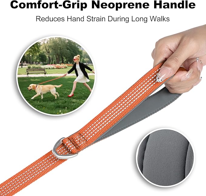 Plutus Pet Heavy Duty Dog Leash with Lockable Aluminum Carabiner, 4/6 Feet Long, Double-Sided Reflective Nylon, Padded Handle, for Puppy, Small, Medium and Large Dogs (Orange, 4/5" x 4')