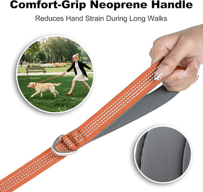 Plutus Pet Heavy Duty Dog Leash with Lockable Aluminum Carabiner, 4/6 Feet Long, Double-Sided Reflective Nylon, Padded Handle, for Puppy, Small, Medium and Large Dogs (Orange, 1" x 6')